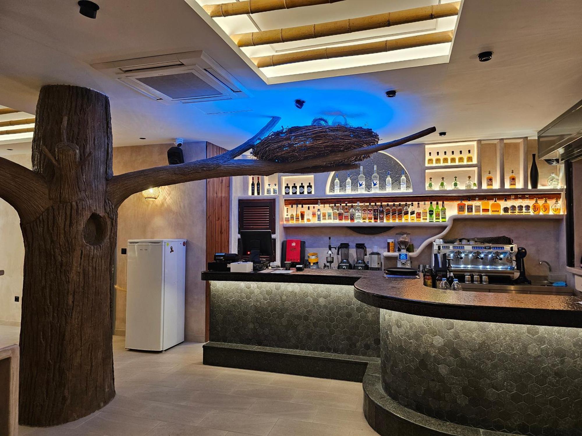 Elixir Del Mar On The Beach คามารี ภายนอก รูปภาพ